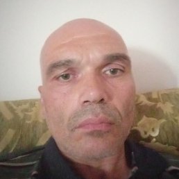 �������, ����������, 46 ���