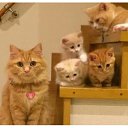 ���� ����, ������, 38 ��� - ��������� 11 ������� 2023 � ������ ���� ����������