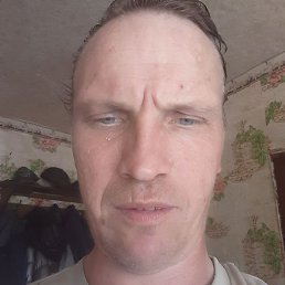 �����, �������, 41 ���