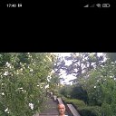 ���� �����, ������, 56 ��� - ��������� 31 ��� 2023 � ������ ���� ����������