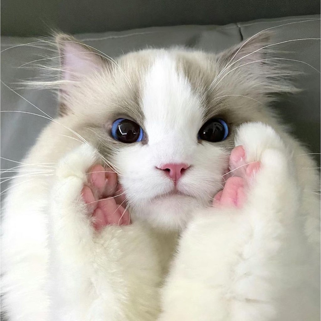      ? - 2