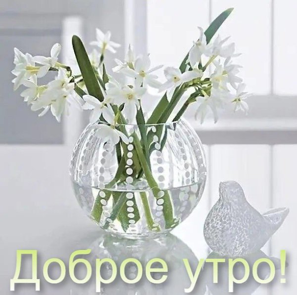 Пусть утро начнётся со светлых мыслей, а день принесёт радость и хорошее настроение! ДОБРОЕ УТРО!