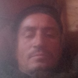 ������, �����������, 53 ����