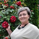 ���� �����, ����, 54 ���� - ��������� 10 ������� 2023 � ������ ���� ����������