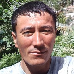 ������, �����, 37 ���