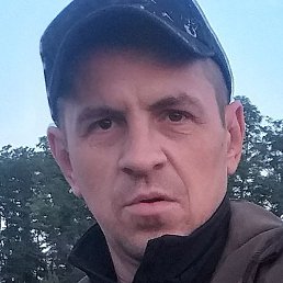 ������, ������, 41 ���