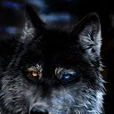 ���� �����, ���������������, 35 ��� - ��������� 9 �������� 2023 � ������ ���� ����������