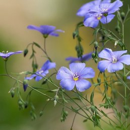 ���� ������, ������ - ��������� 22 ���� 2023