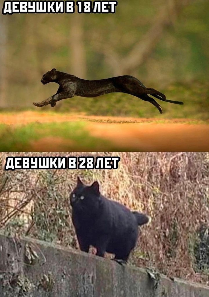   ))).,      
