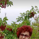 ���� �������, �������, 71 ��� - ��������� 13 ������� 2023