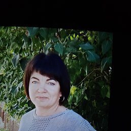 ���� ����, ���������, 51 ��� - ��������� 23 �������� 2023