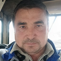 �����, �������, 49 ���