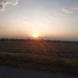 ����, �������, 40 ���