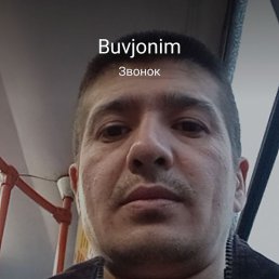 �����, �����-���������, 38 ���