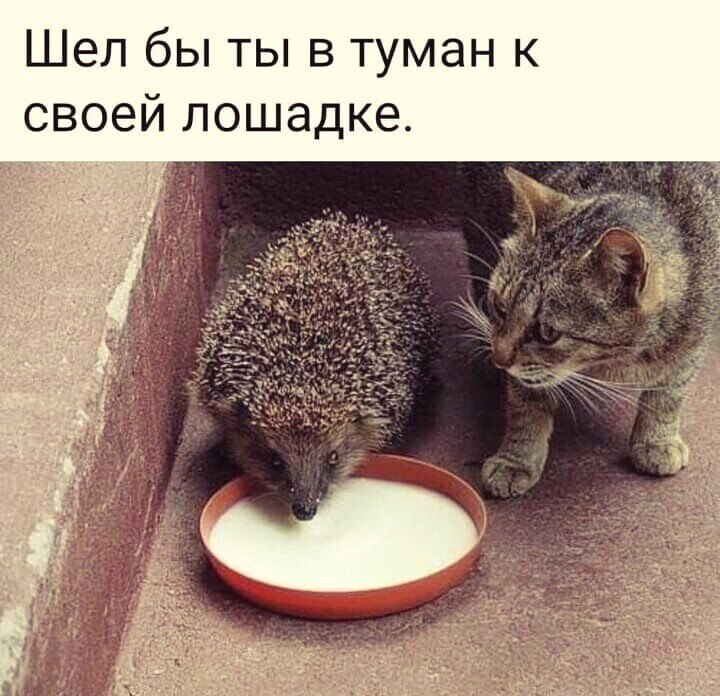  - 15  2023  21:22