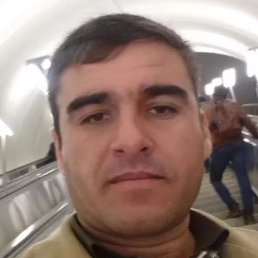 �����, �������, 42 ����