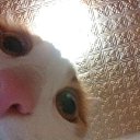  ,  , 39  -  22  2023    