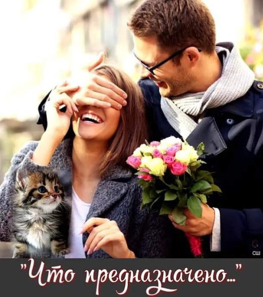 Как-то в молодости, после бурной ночи и хорошего завтрака одна из подруг разоткровенничалась с ним. ...