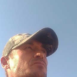 ����, ���������, 46 ���