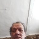   , , 56  -  15  2023    