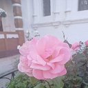 ���� �����, �������, 56 ��� - ��������� 23 �������� 2023 � ������ �������� ������ ���