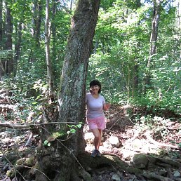 , 62, 