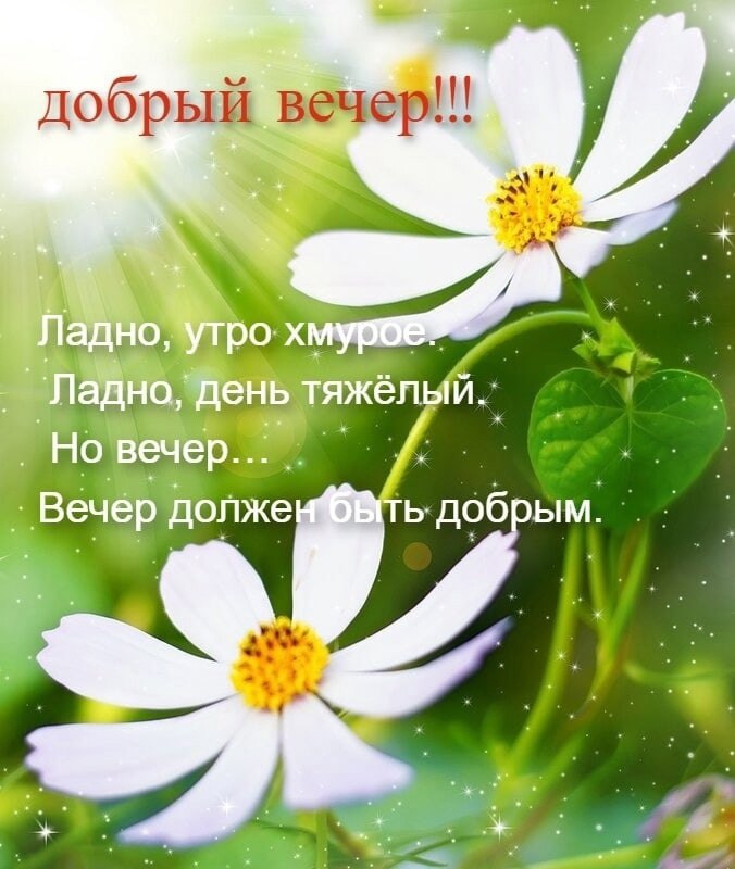   ,    . - 11  2023  18:44