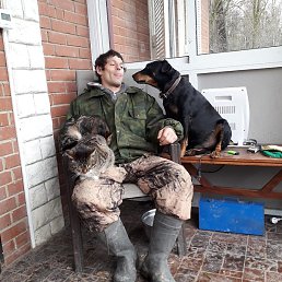 ����, ������, 39 ���