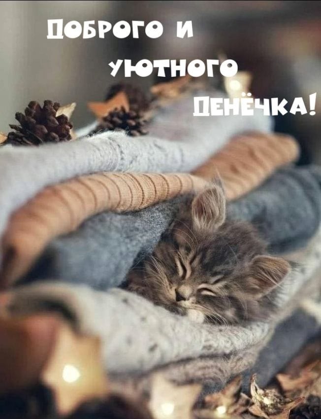 ***Victoria Viktorovna*** - 16  2023  04:28