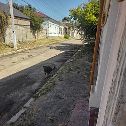 ���� Vadim, �����������, 22 ���� - ��������� 9 ������� 2023