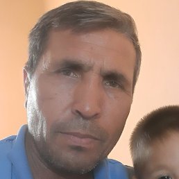 ������, ���������, 52 ����