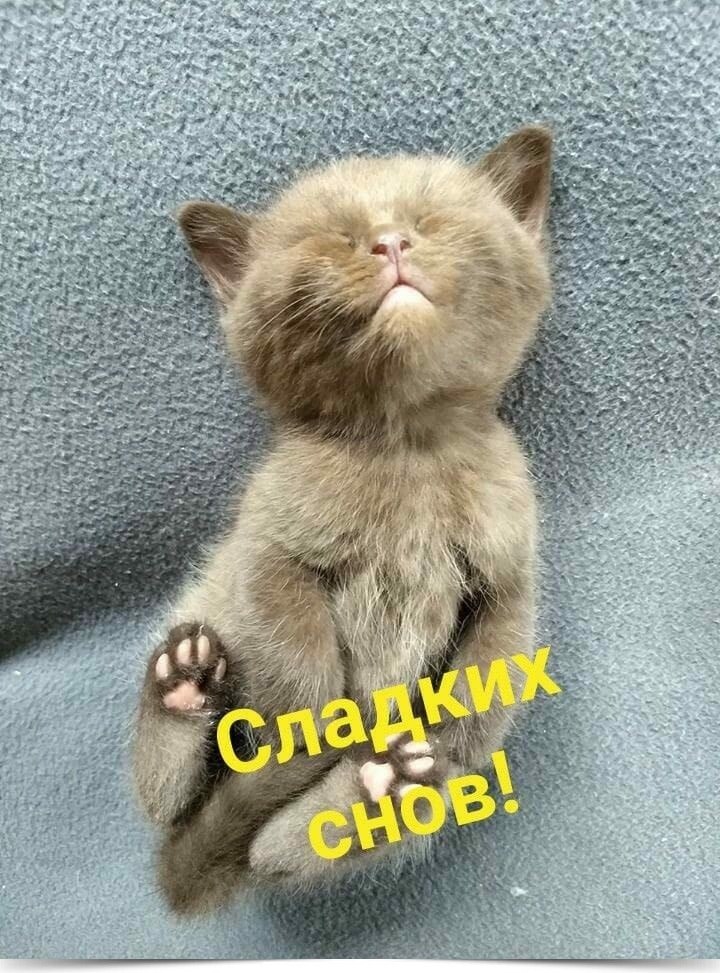 ****************************