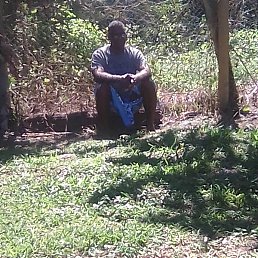 Apisai, �����������, 52 ����