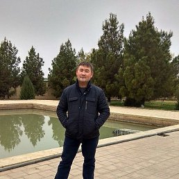 ��������, �����������, 41 ���