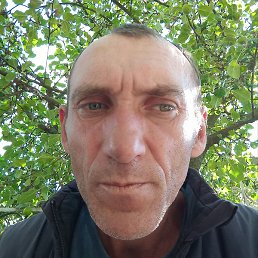 �����, �������, 42 ����