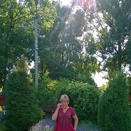 �-----�, �������