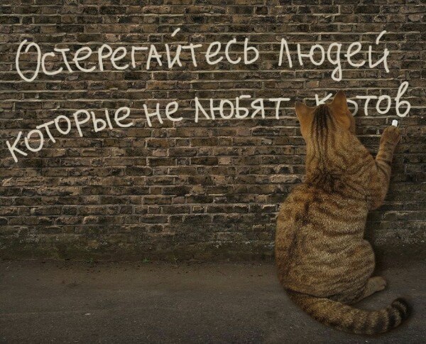  - 24  2023  09:48