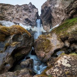 �����, �������, 41 ���