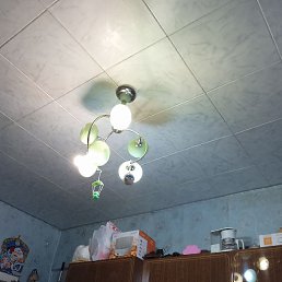 ���������, ������, 61 ���