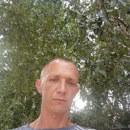 ���� ��������, ������, 43 ���� - ��������� 5 ������� 2023