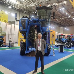 Yaqub, ����, 50 ���