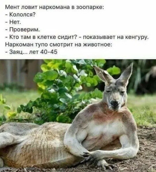   - 6  2023  08:08