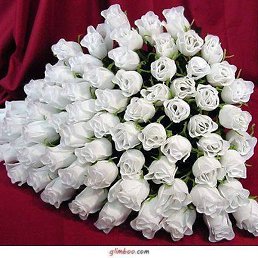 �����, ����������, 56 ���