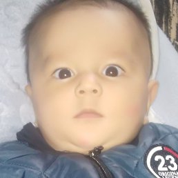 �������, �������, 38 ���