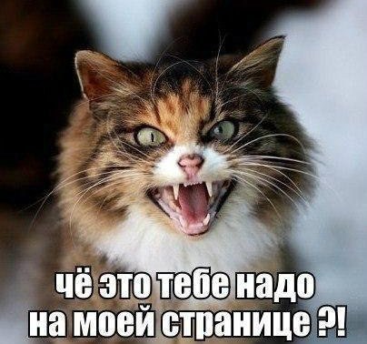 ((( ))) - 20  2023  19:37