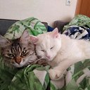 ���� �������, ���������, 47 ��� - ��������� 25 ��� 2023