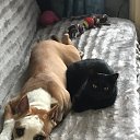 ���� ������, �����, 42 ���� - ��������� 14 ������ 2023 � ������ ���� ����������