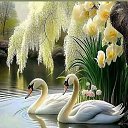 ���� ������, �����, 55 ��� - ��������� 25 ���� 2023