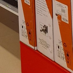 ��������, �����������, 36 ���