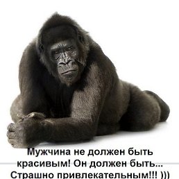 ���� �������, ������, 67 ��� - ��������� 5 ���� 2023